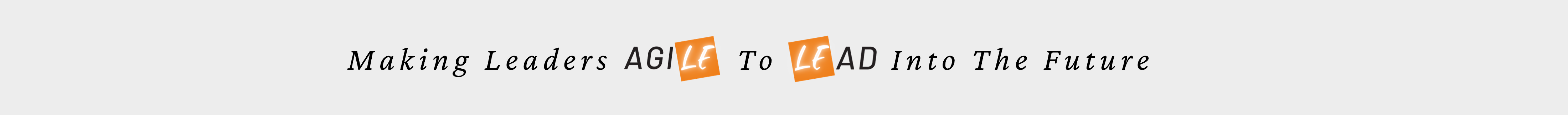 AGILEAD LINE